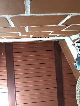 Rachellcooperrr webcam