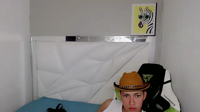 Street_poemm_ webcam