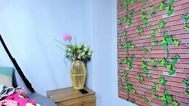 Mariham-Murath webcam