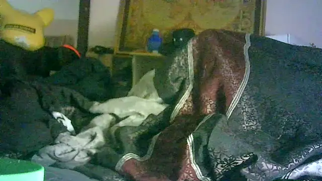 ON3YOULLN3VER_FIR3 webcam