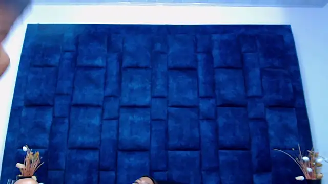 GroupNoLimits webcam