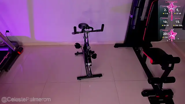 CelestePalmer_ webcam