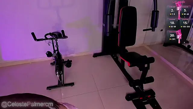 CelestePalmer_ webcam