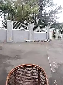 hemilynthomas2467 webcam