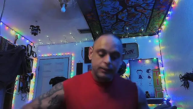 Buffshagswell webcam