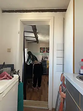 BlueVelvetBat webcam