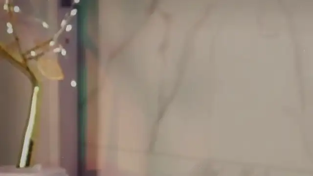 KellyPerfection webcam