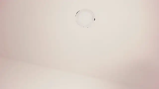 Shai_tsgirl_ live sex cam