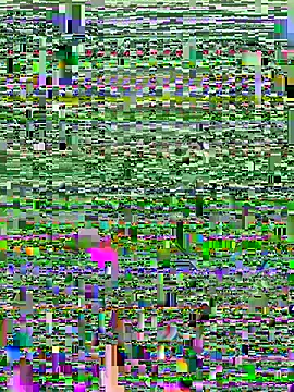 bigtittiegrace's live cam