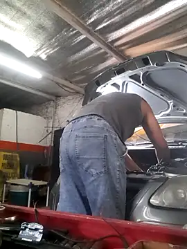 hecwil8 live sex cam