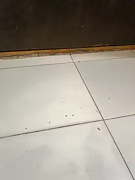 sexyladdupilla webcam