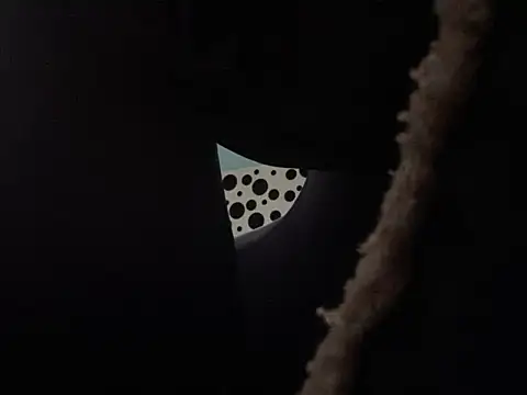 Preview of spielzeugtwink