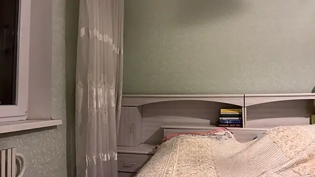 UpdatedRectus webcam