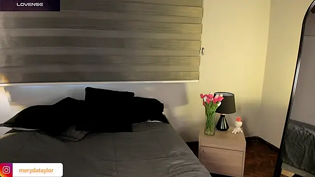 MERIDA_TAYLOR webcam