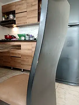 LEIRIS_Y_FRED_01 webcam