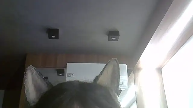 Afbeelding van SkinnyKitten