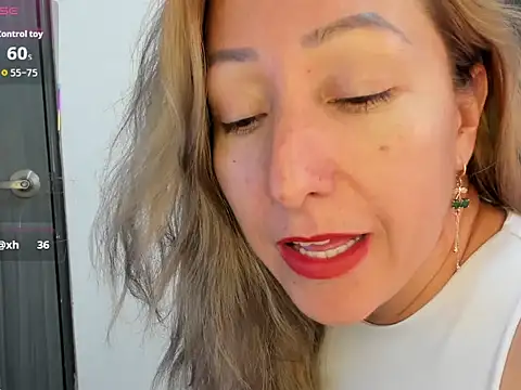 chrystal_sl852 webcam