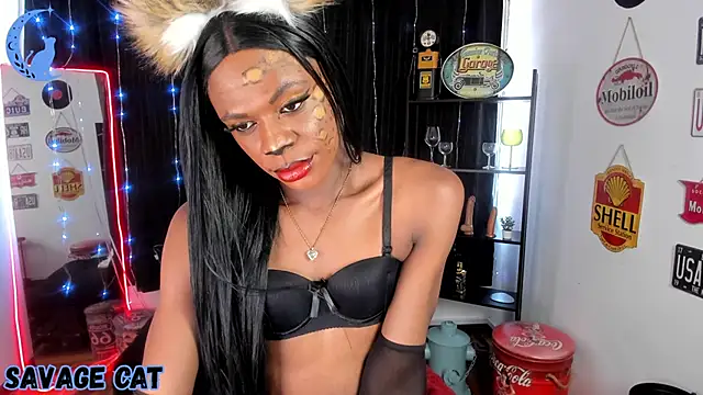 anuvyz_miller_ webcam