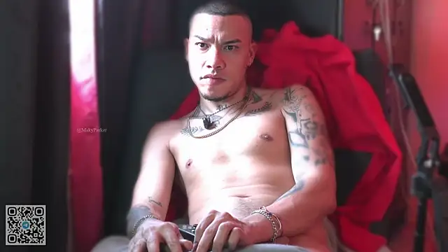 AlphaMasterXxx webcam