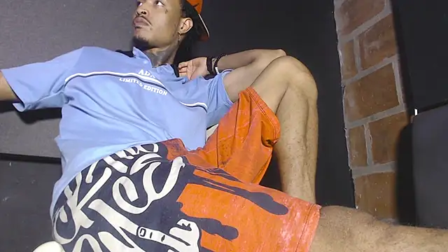 Anaconda_larga webcam