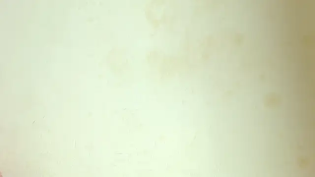 afroditaahot20 webcam