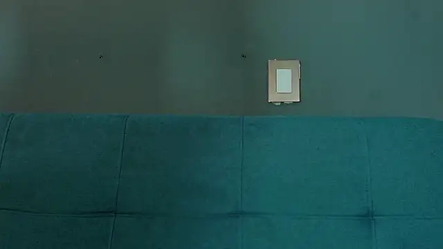 Raymond_Smith_ webcam