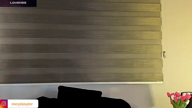 MERIDA_TAYLOR webcam