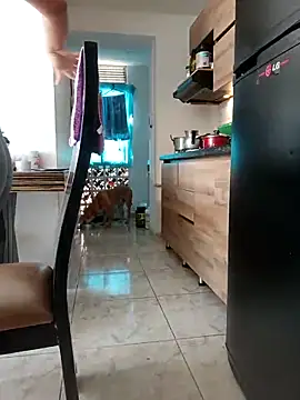 LEIRIS_Y_FRED_01 webcam