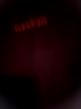 Bengal_Tiger420 webcam