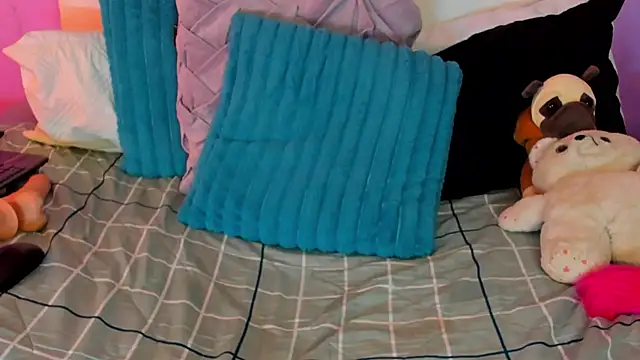 Charlotte11-11 webcam