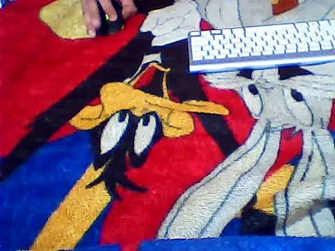 SOLESFETISHBR webcam