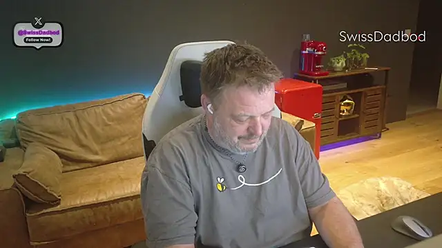 SwissDadbod webcam