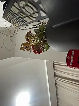 FavelaDaddyCum webcam