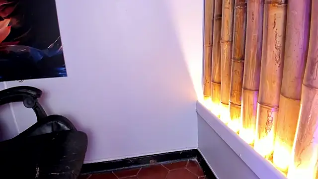 charlotte_mitchell_ webcam