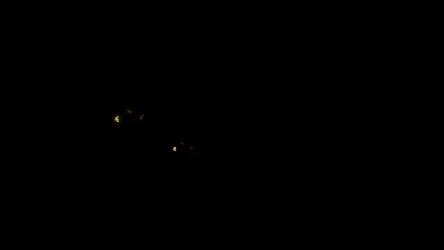 denise_sweetbunny webcam