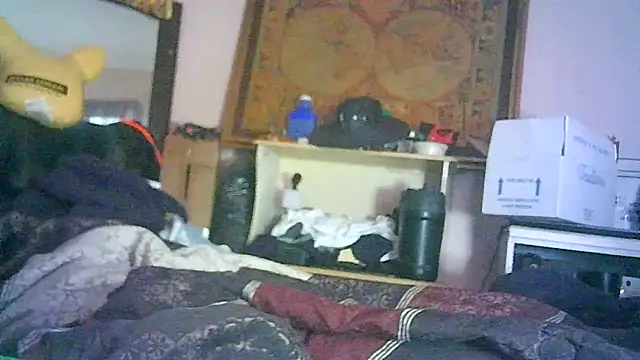 ON3YOULLN3VER_FIR3 webcam