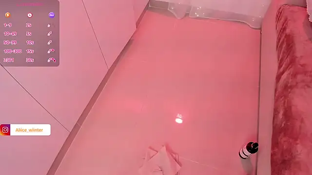 Alice_winter_ webcam