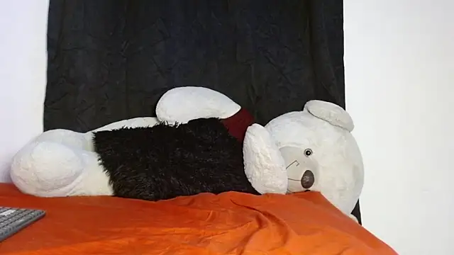 Henry_villa23 webcam