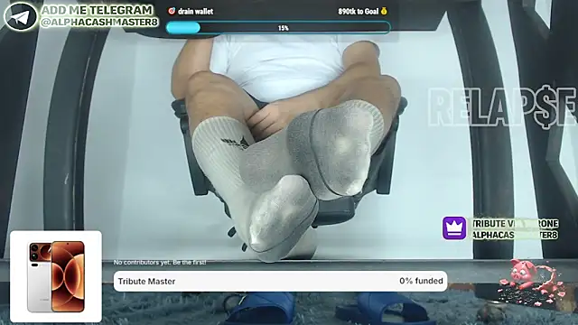 alphacashmaster8 webcam