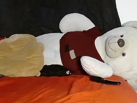 Henry_villa23 webcam