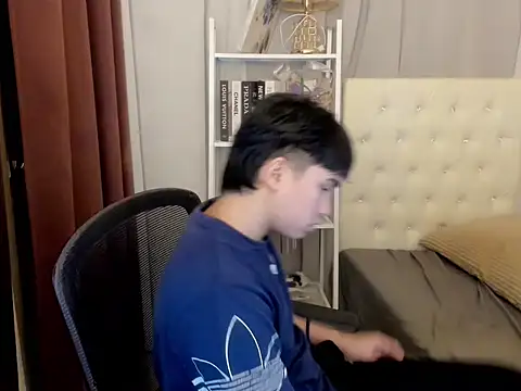 davincihugecock webcam