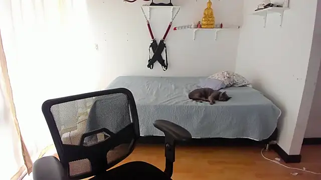 NiceDollPussy webcam