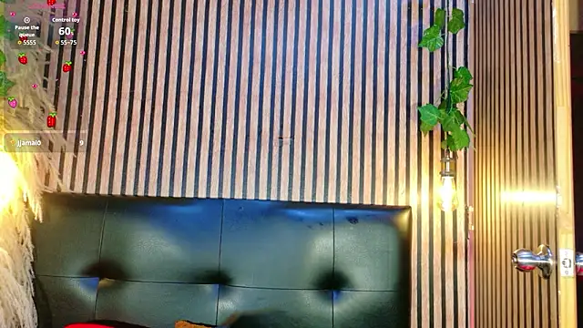 Hiddenhotcake webcam