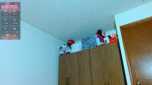 Hgp3riodictabl3 webcam