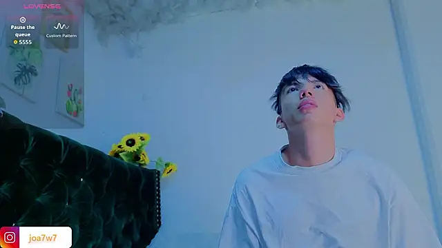 Levii_Ackermann webcam