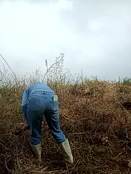 nangmo - Nangmo's free webcam - UK Sex Cams