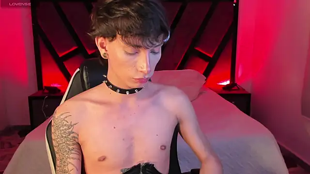 AndyWiilliams webcam