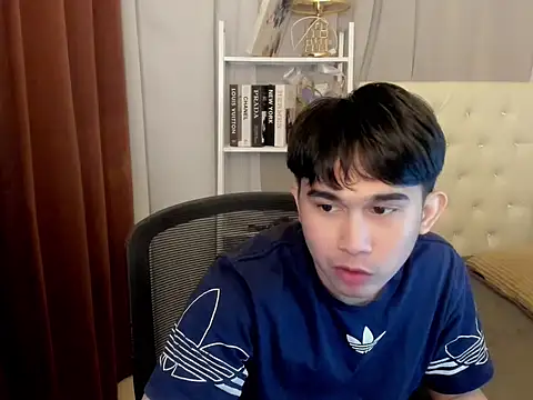 davincihugecock webcam