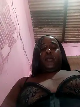 Hellentrans24 webcam