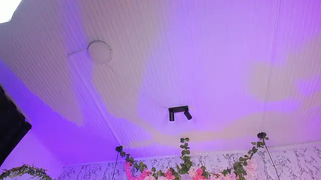 Bonny_and_carrot webcam